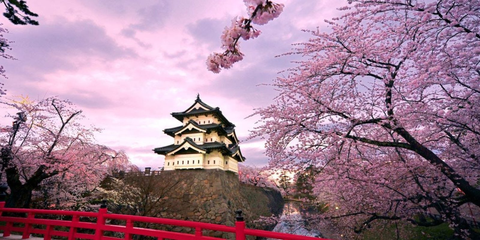japan japan