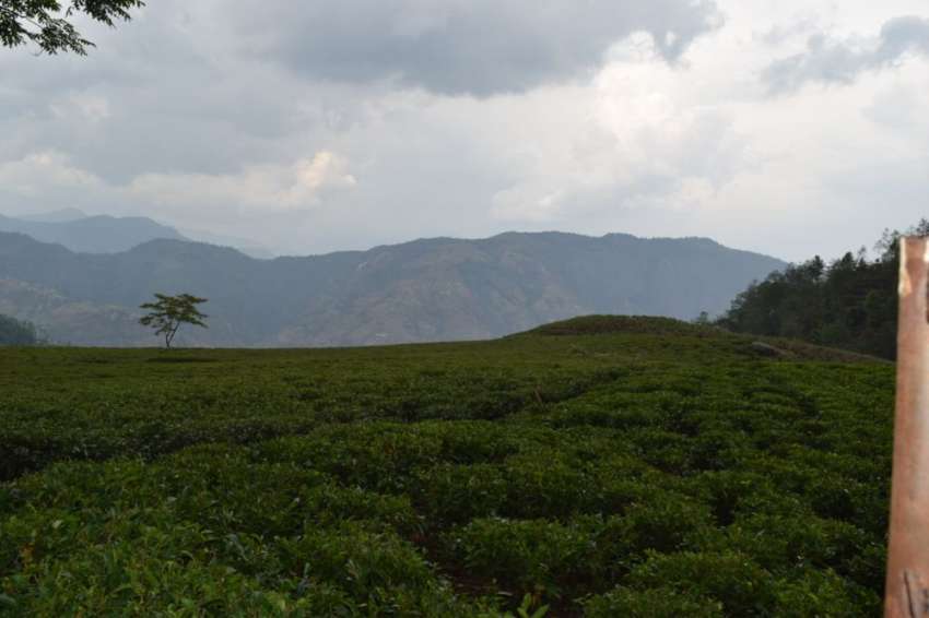 20160510105655_DSC_0244