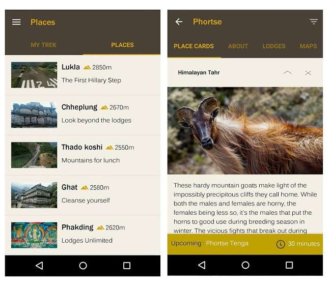 20160720101639_honey_guide