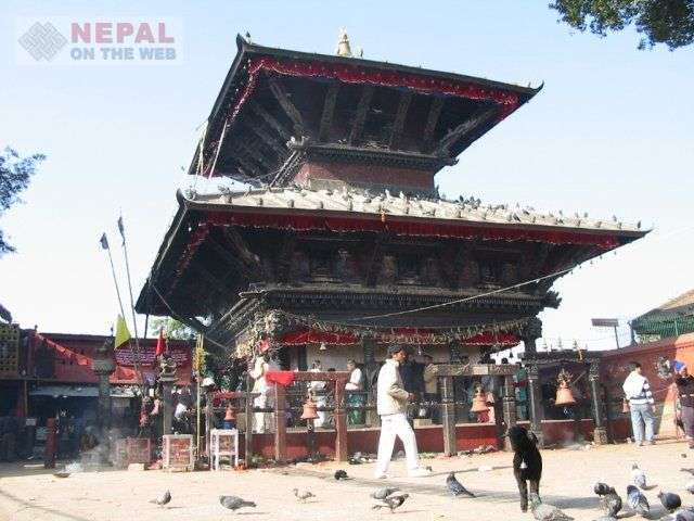 20161005102722_manakamna01