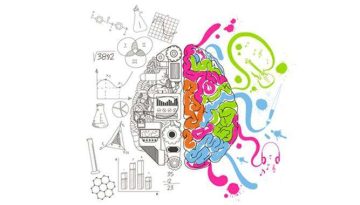 20170605104918_left-brain-right-brain