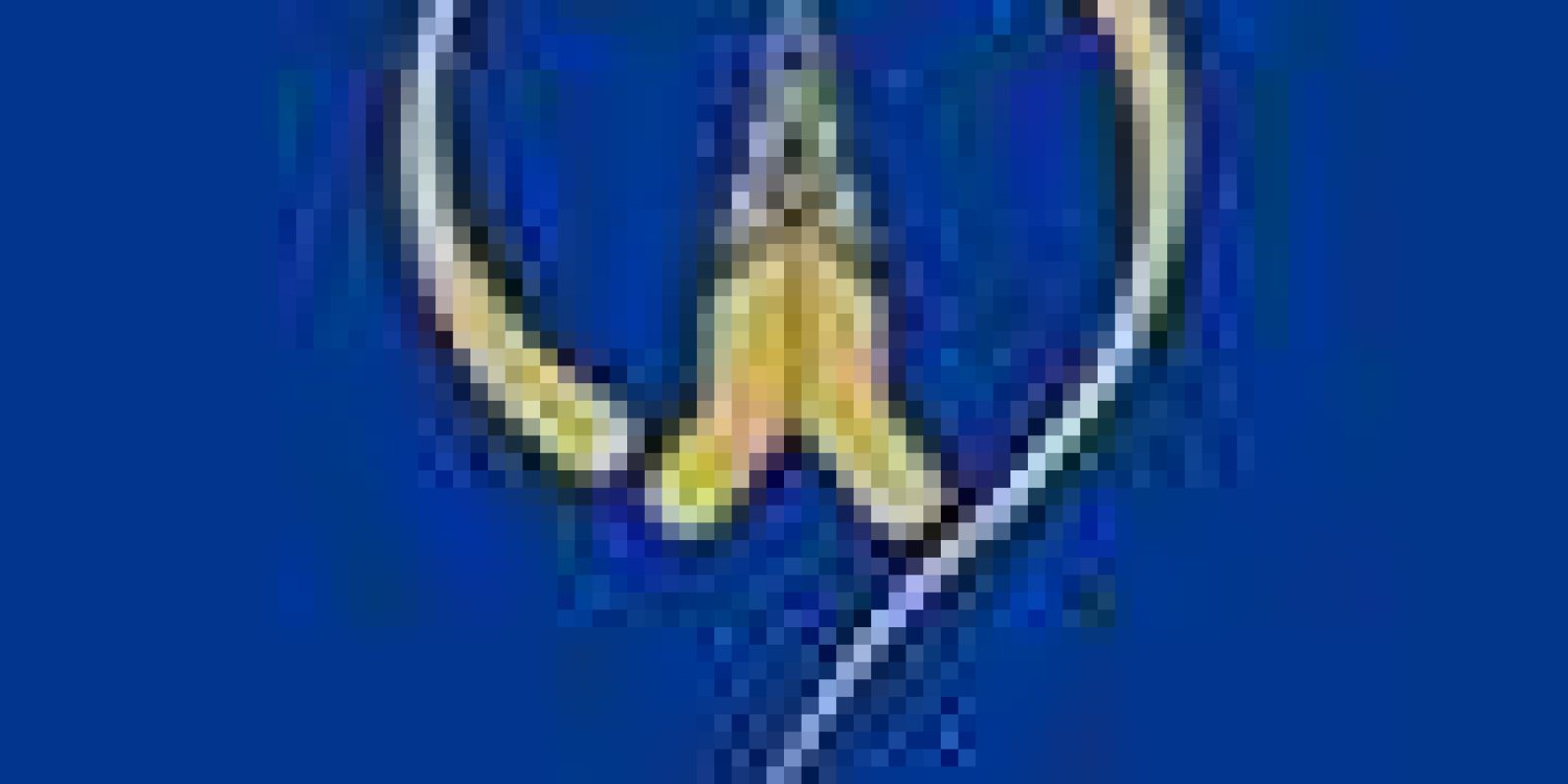 20170720033650_ntc 20170720033650_ntc