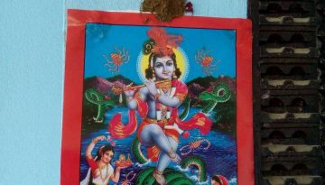 20170729111650_nag_panchami