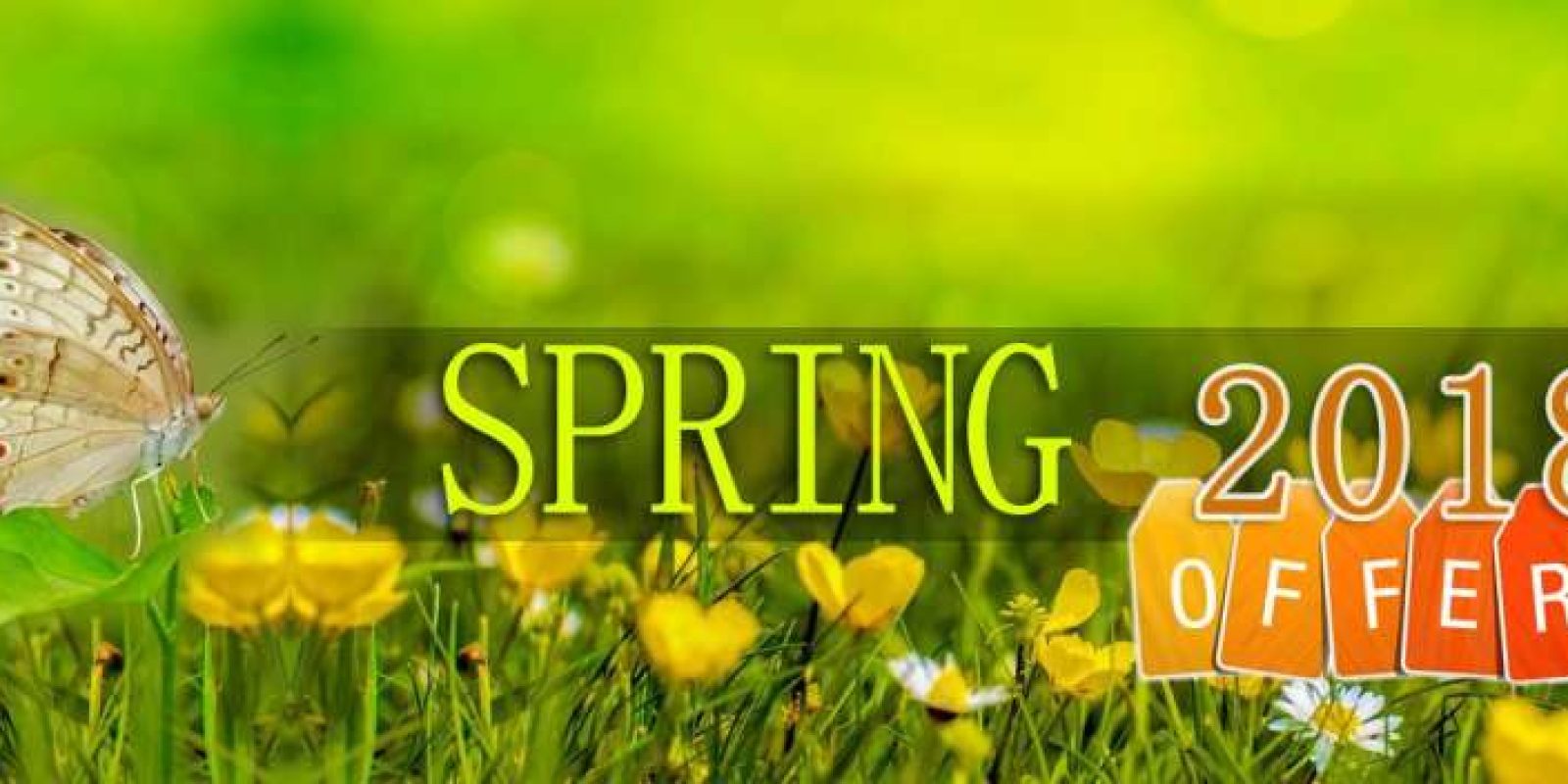 20180211080631_ntc_spring 20180211080631_ntc_spring