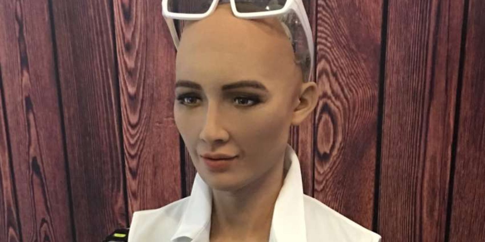 20180321110613_Sophia 20180321110613_Sophia