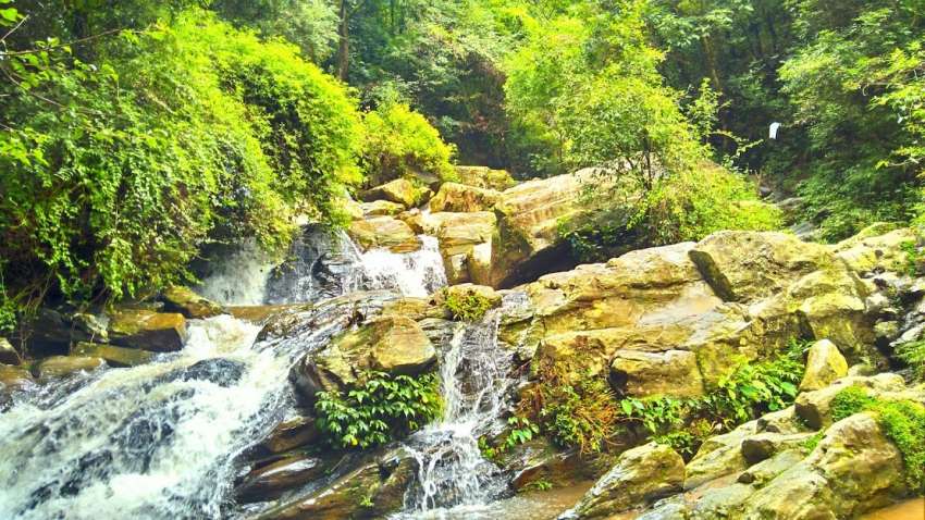 20190918082145_IMG_20190906_131613