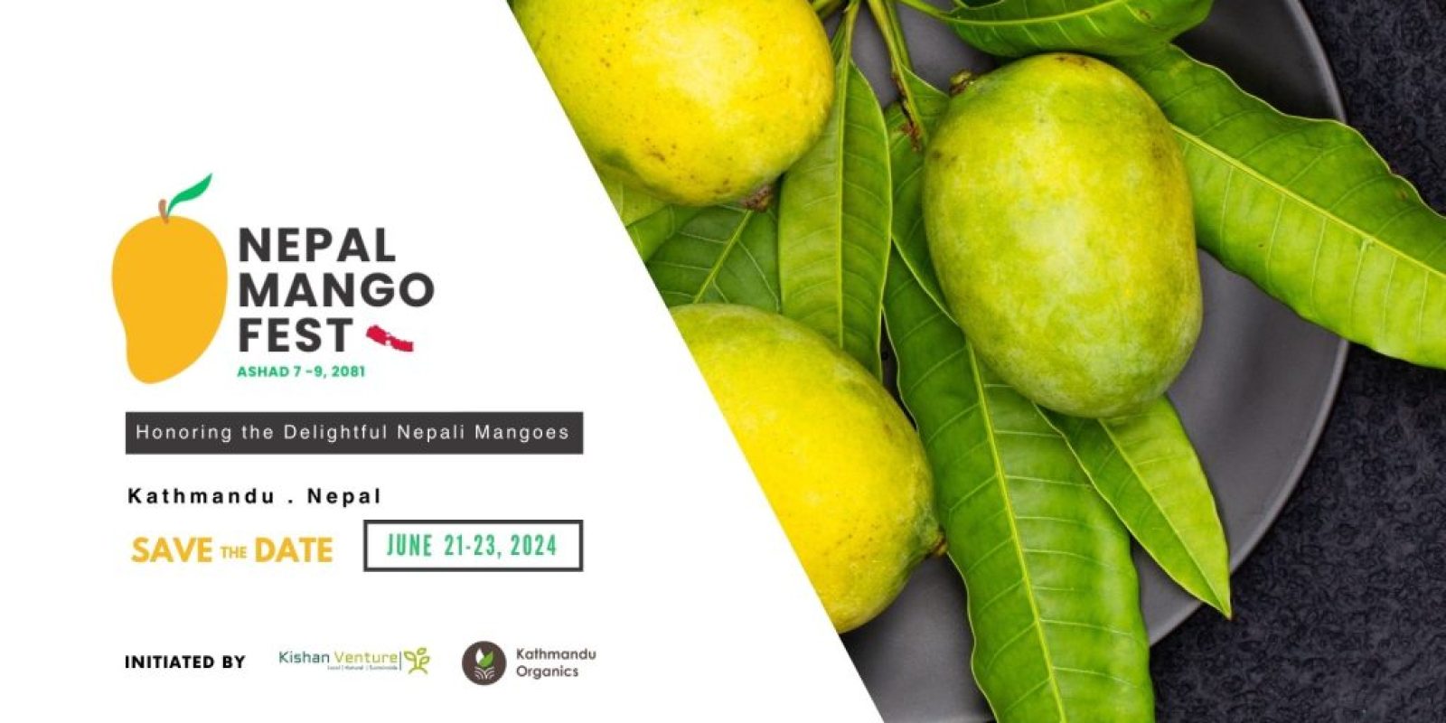 Mango fest mango fest