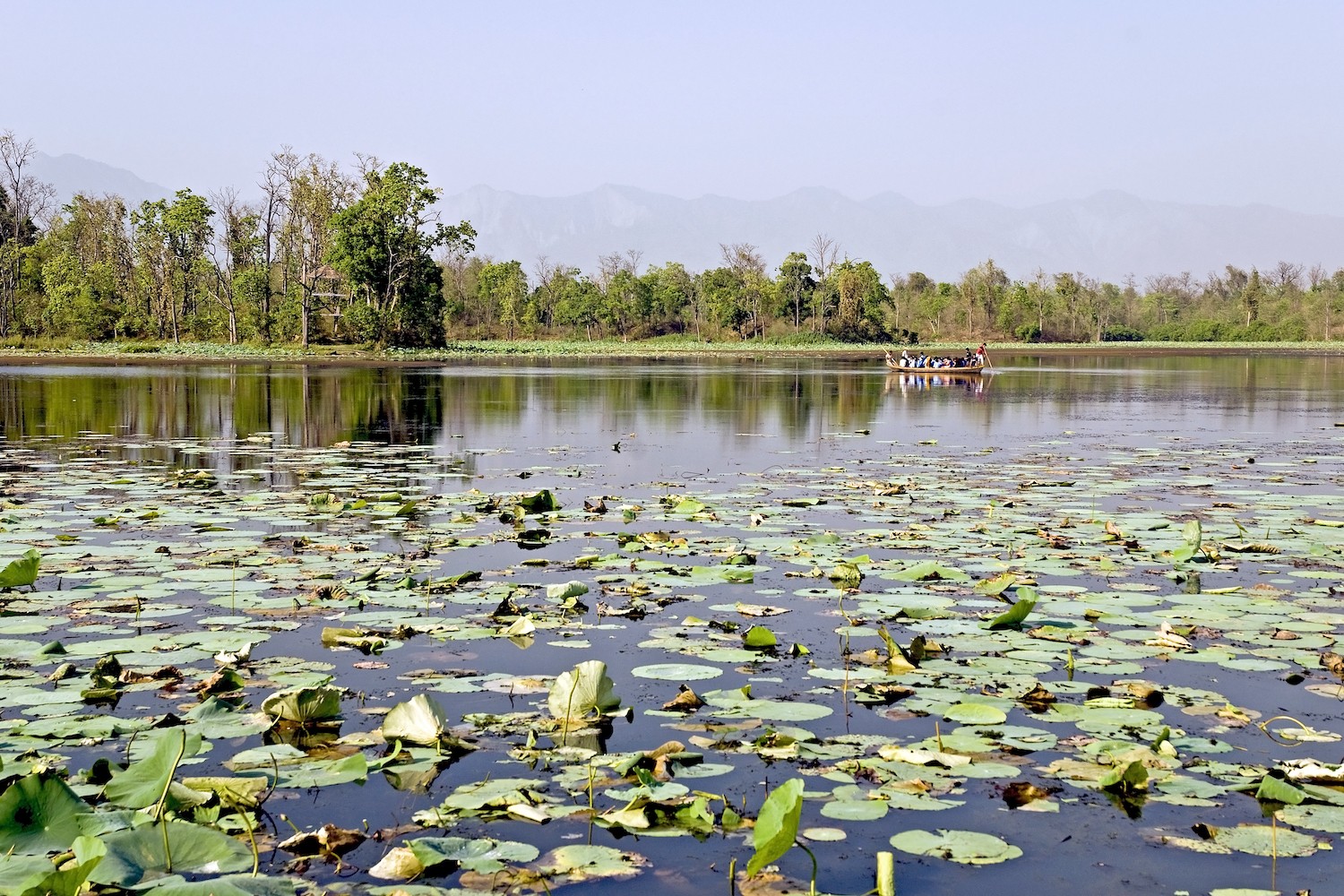 wetland wetland